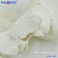 PNT-0111 Medical teaching male skeletal pelvis model